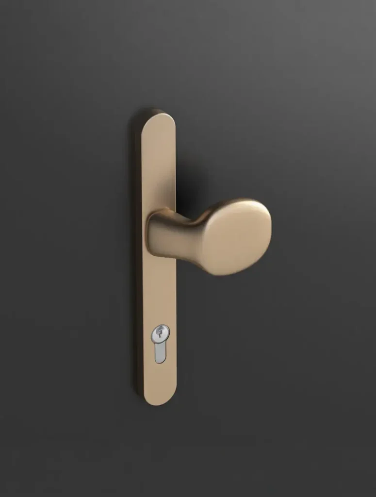 poignee de porte d entree bronze avec cylindre de securite sur porte noire