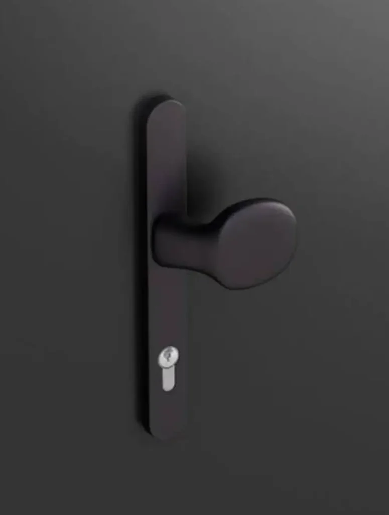 poignee noire de porte entree avec serrure